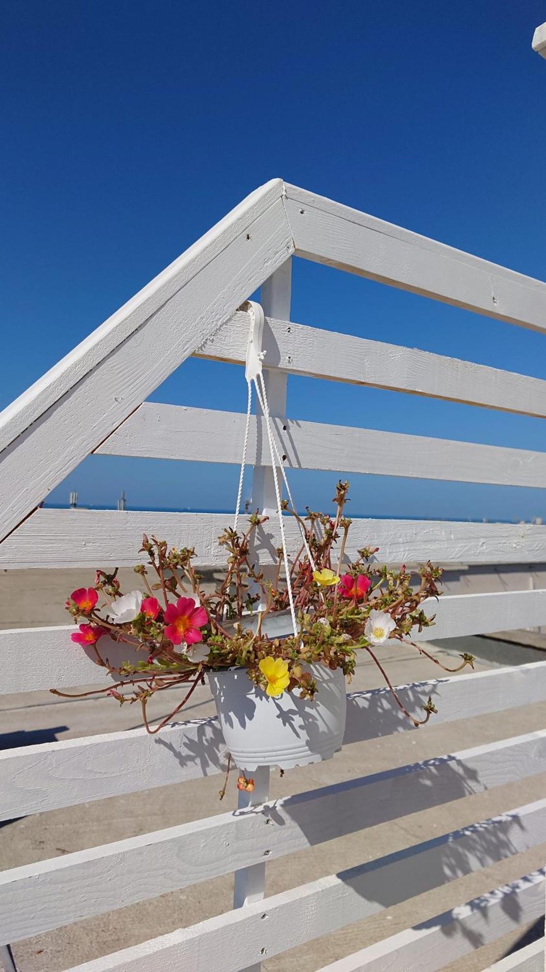 Giardino Alto Apartment Durres Luaran gambar